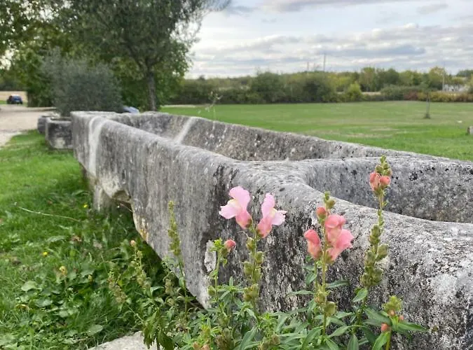 Domaine De La Laigne - * Asnières-la-Giraud