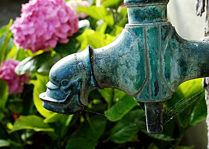 Domaine De La Laigne - * Asnières-la-Giraud