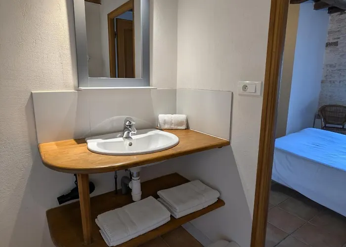 Domaine De La Laigne - Asnieres-la-Giraud